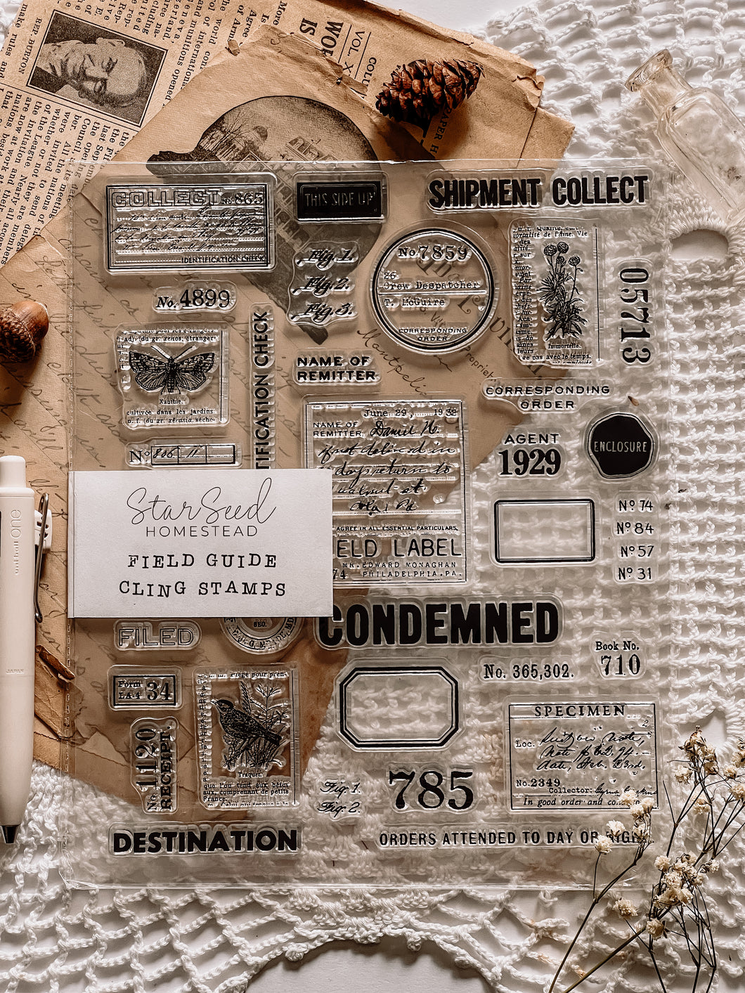 FIELD GUIDE STAMP SET