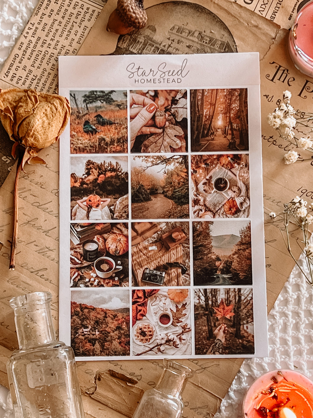 ENCHANTED AUTUMN STICKER SHEET