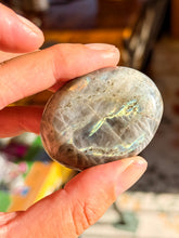 Load image into Gallery viewer, LABRADORITE PALMSTONE
