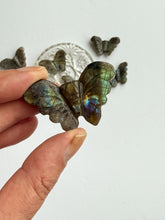 Load image into Gallery viewer, LABRADORITE CRYSTAL BUTTERFLIES
